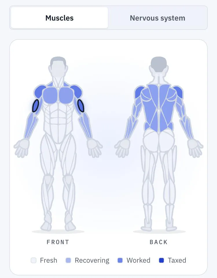 Sparlift's Regeneration screen on my Tuesday evening: shoulders, chest, back and biceps shaded Worked, triceps and forearms Recovering, legs Fresh.